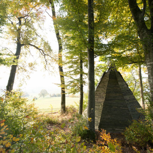 vom Wald JPEG-5